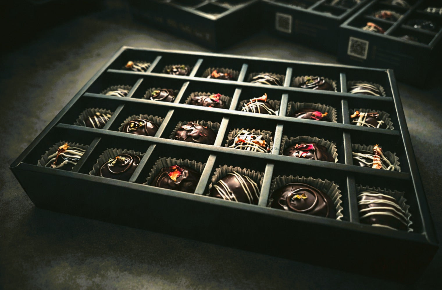 Divine Fusion Collection